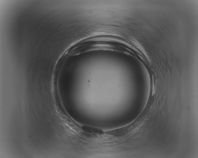 X0000072520387200607141203