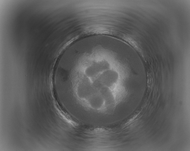 X0000072520390200607141203