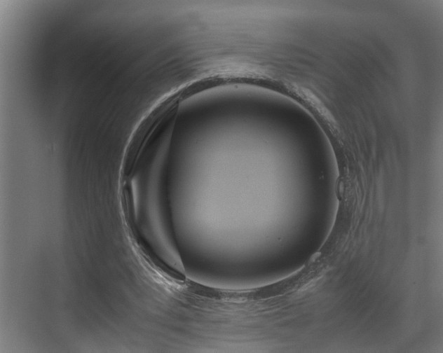 X0000072520391200607141203