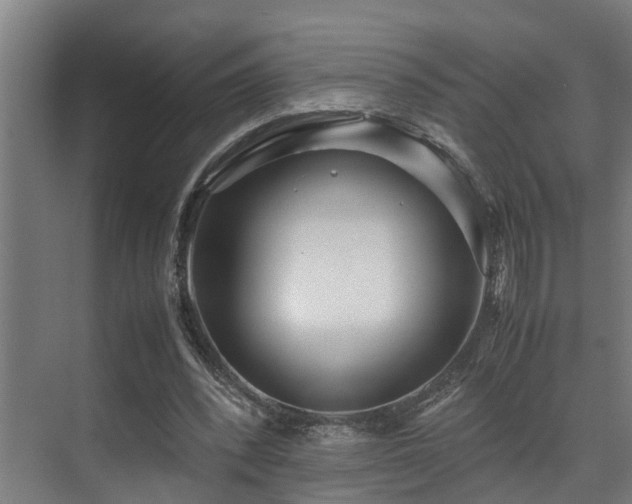 X0000072520392200607141203