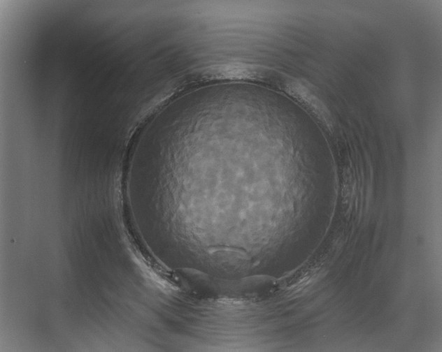 X0000072520394200607141203