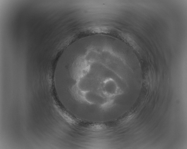 X0000072520402200607141203