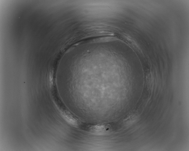 X0000072520406200607141203