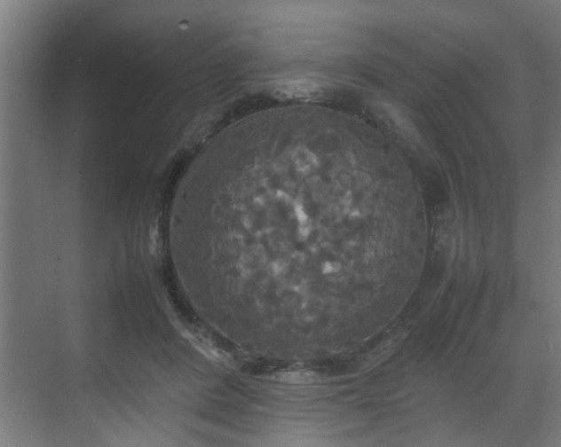 X0000072520408200607141203