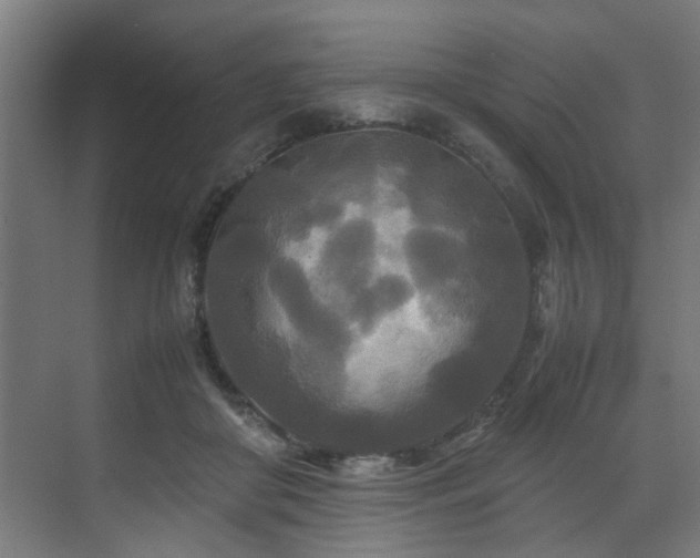 X0000072520410200607141203