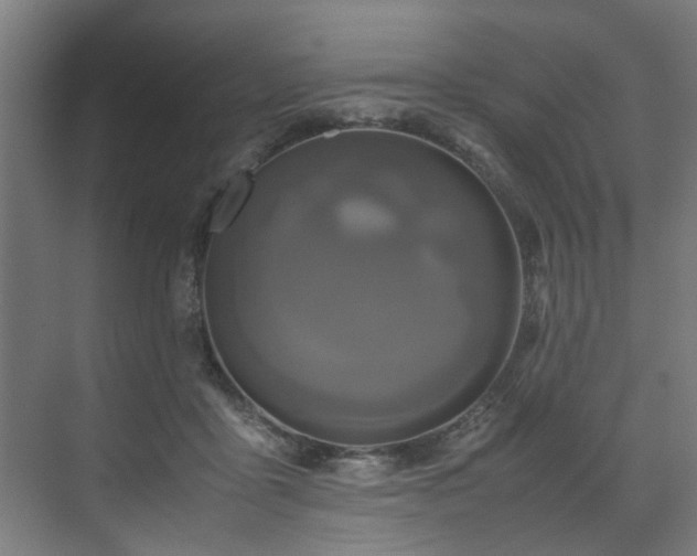 X0000072520411200607141203