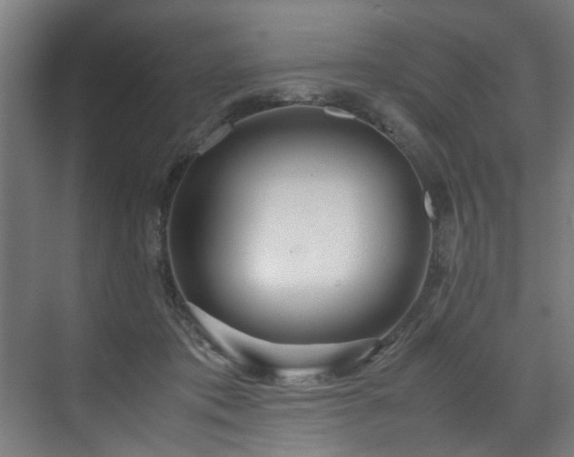 X0000072520413200607141203