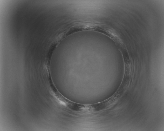 X0000072520415200607141203