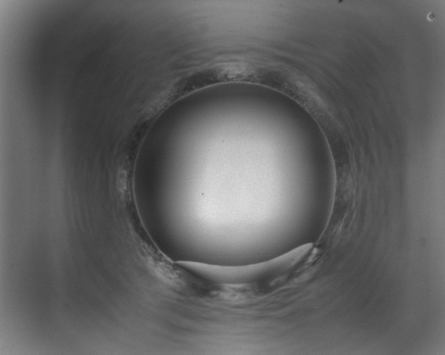 X0000072520417200607141203