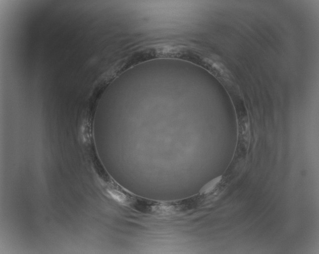 X0000072520419200607141203