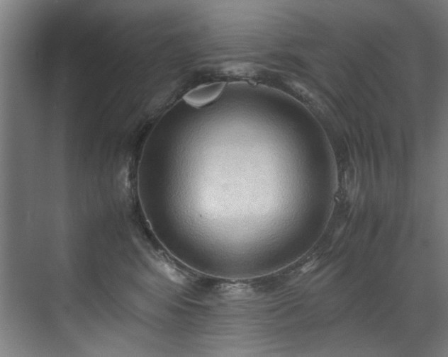 X0000072520424200607141203