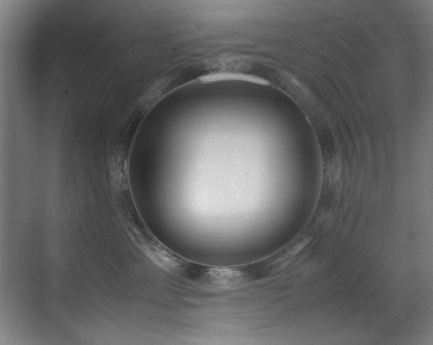 X0000072520429200607141203