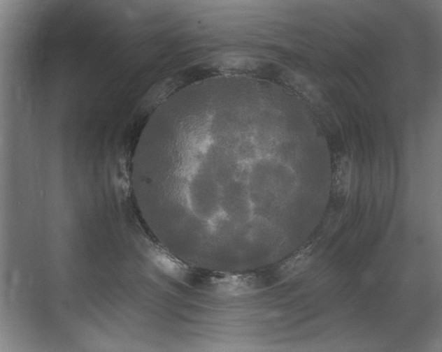 X0000072520430200607141203