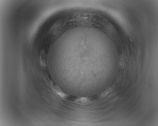 X0000072520431200607141203