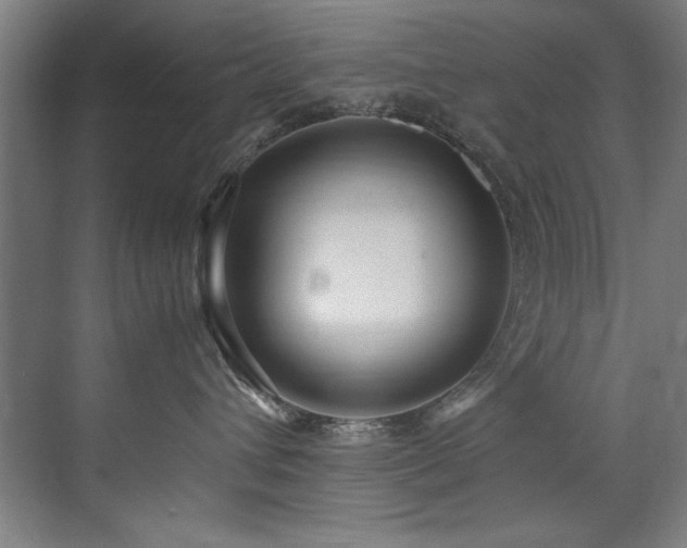 X0000072520432200607141203