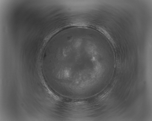 X0000072520433200607141202