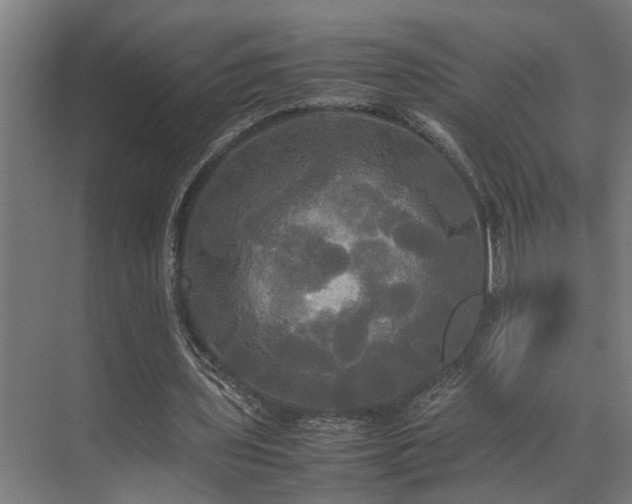 X0000072520435200607141202