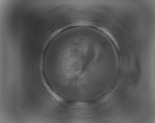 X0000072520437200607141202