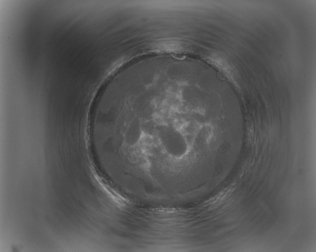 X0000072520439200607141202