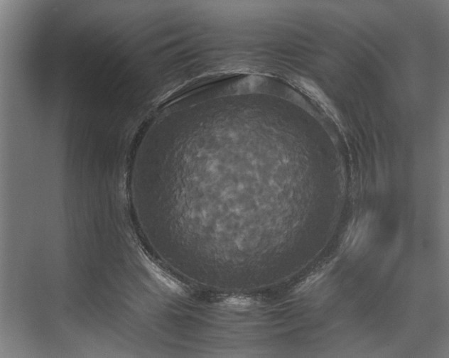 X0000072520441200607141202