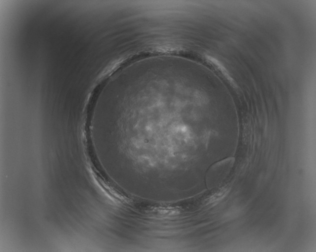 X0000072520443200607141202