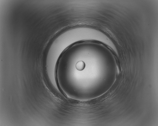 X0000072520444200607141202