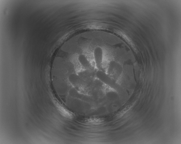 X0000072520445200607141202