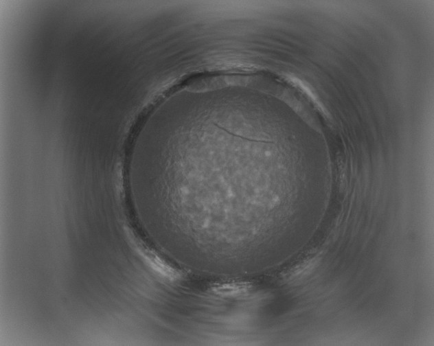 X0000072520447200607141202