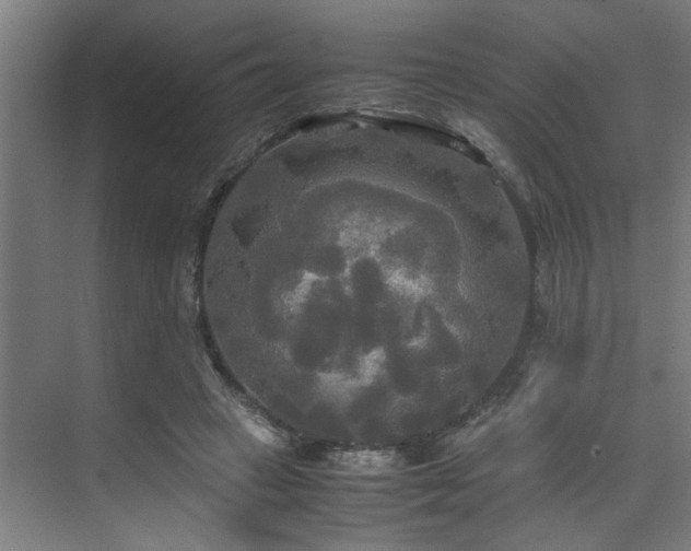 X0000072520449200607141202