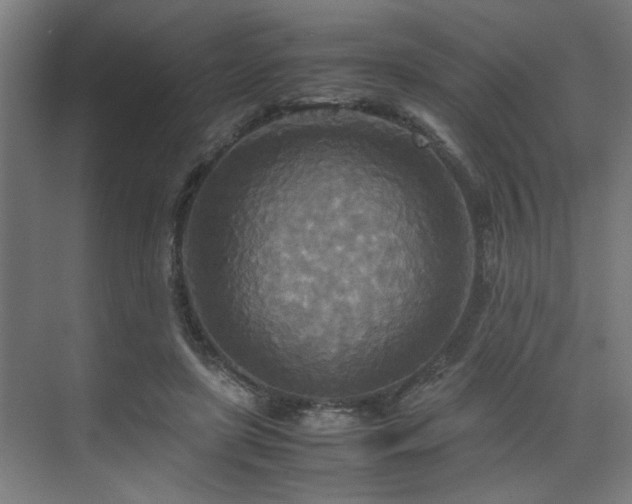 X0000072520451200607141202