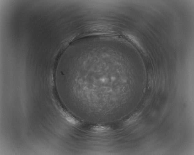 X0000072520453200607141202