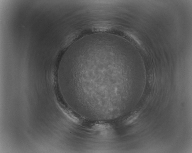 X0000072520455200607141202