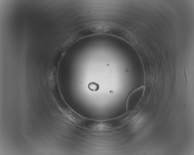 X0000072520460200607141202