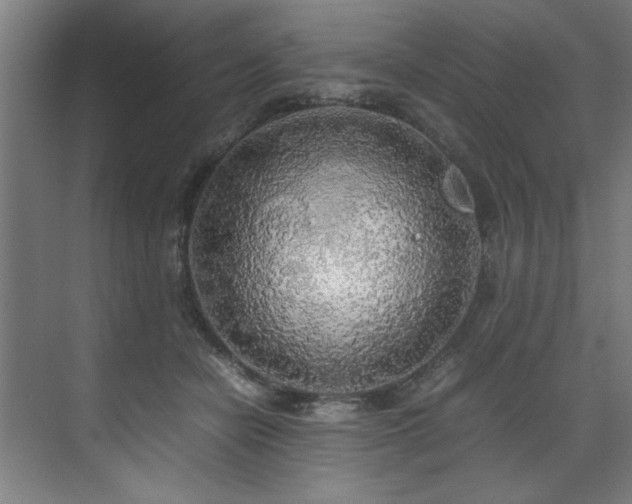 X0000072520462200607141202