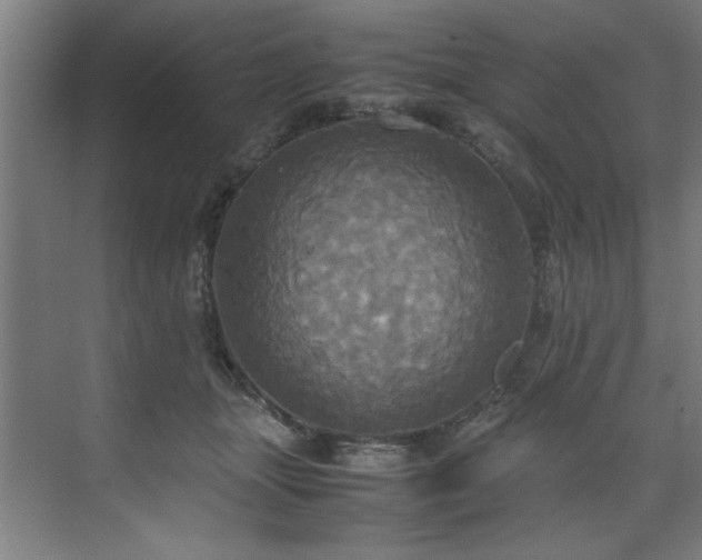 X0000072520463200607141202