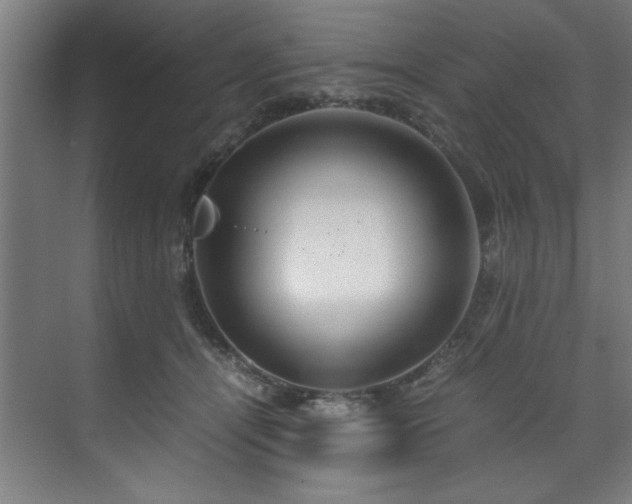 X0000072520464200607141202