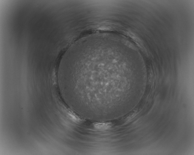 X0000072520465200607141202