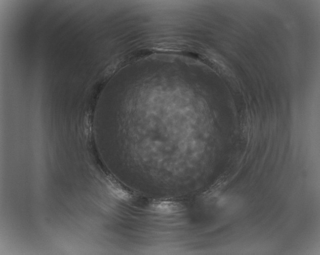 X0000072520467200607141202