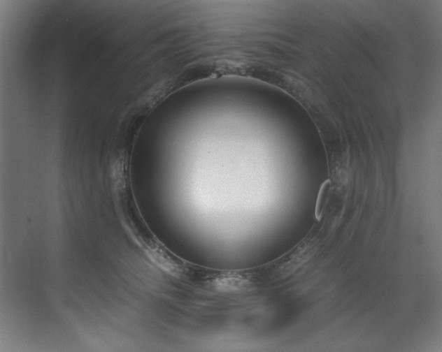 X0000072520468200607141202