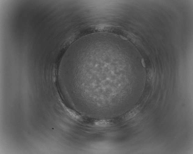 X0000072520470200607141202