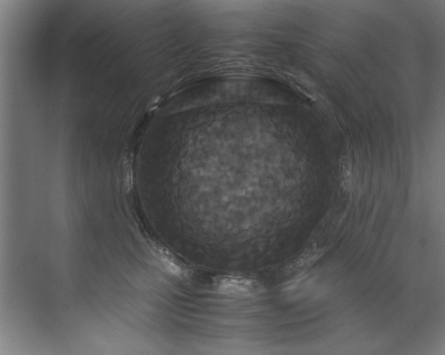 X0000072520471200607141202