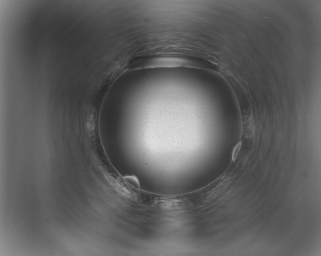 X0000072520472200607141202