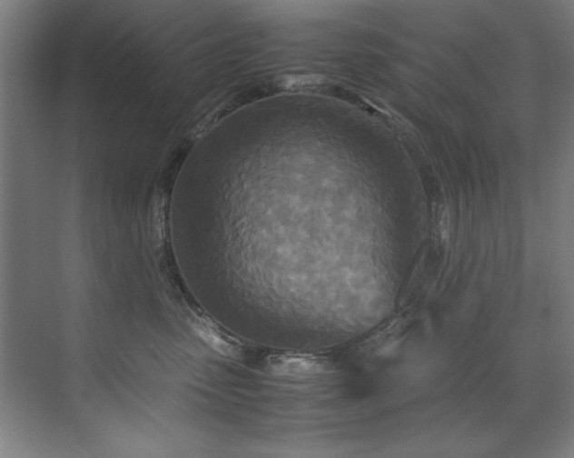 X0000072520475200607141202