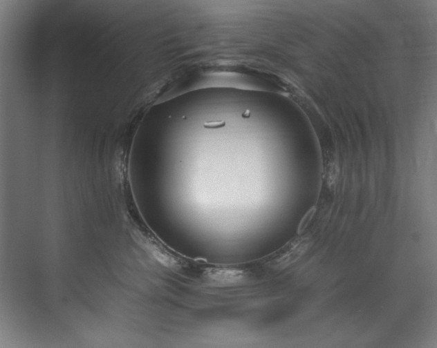 X0000072520476200607141202