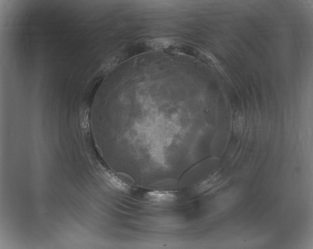 X0000072520477200607141202