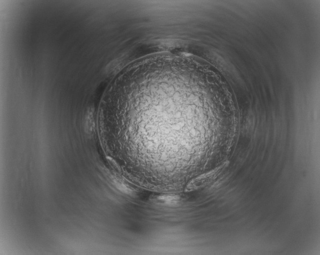 X0000072520478200607141202