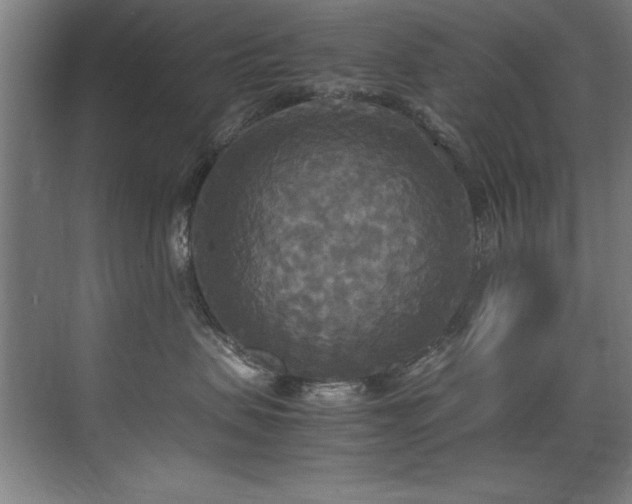 X0000072520479200607141203