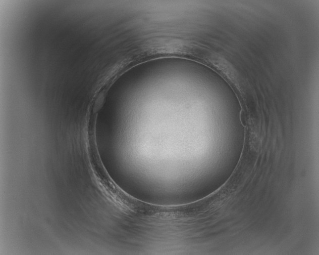 X0000072520482200607141202