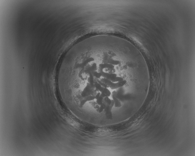 X0000072520487200607141202