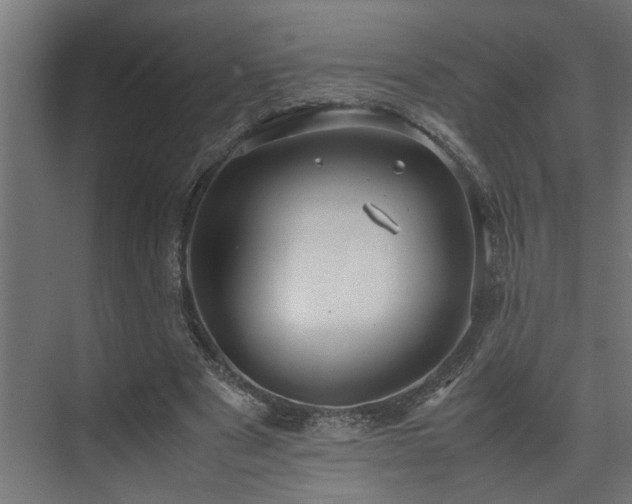 X0000072520489200607141202